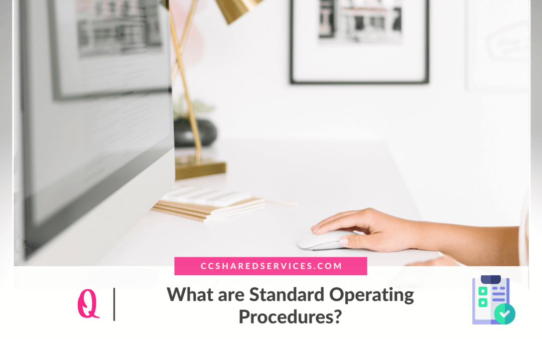 What are Standard Operating Procedures